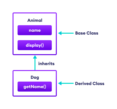 C# Inheritance