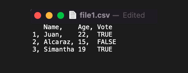 CSV File